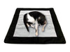 Premium Reversible Pet Sleep Mat 24 X 24 (Made in USA)