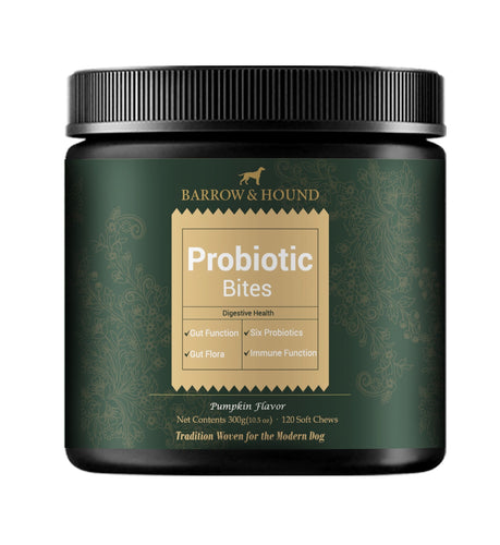 Probiotic Bites for Dogs – Gut Health & Digestive Support