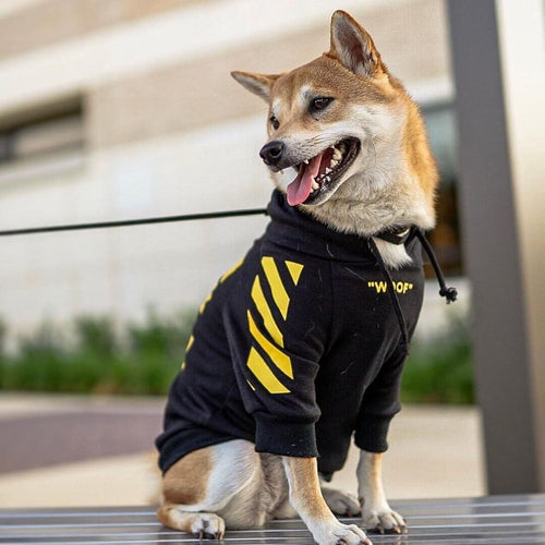 Fresh Pawz Woof Dog Hoodie
