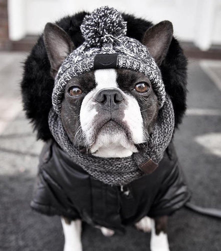 Autumn Winter Warm Knitted Pet Hats With Fluffy Ball