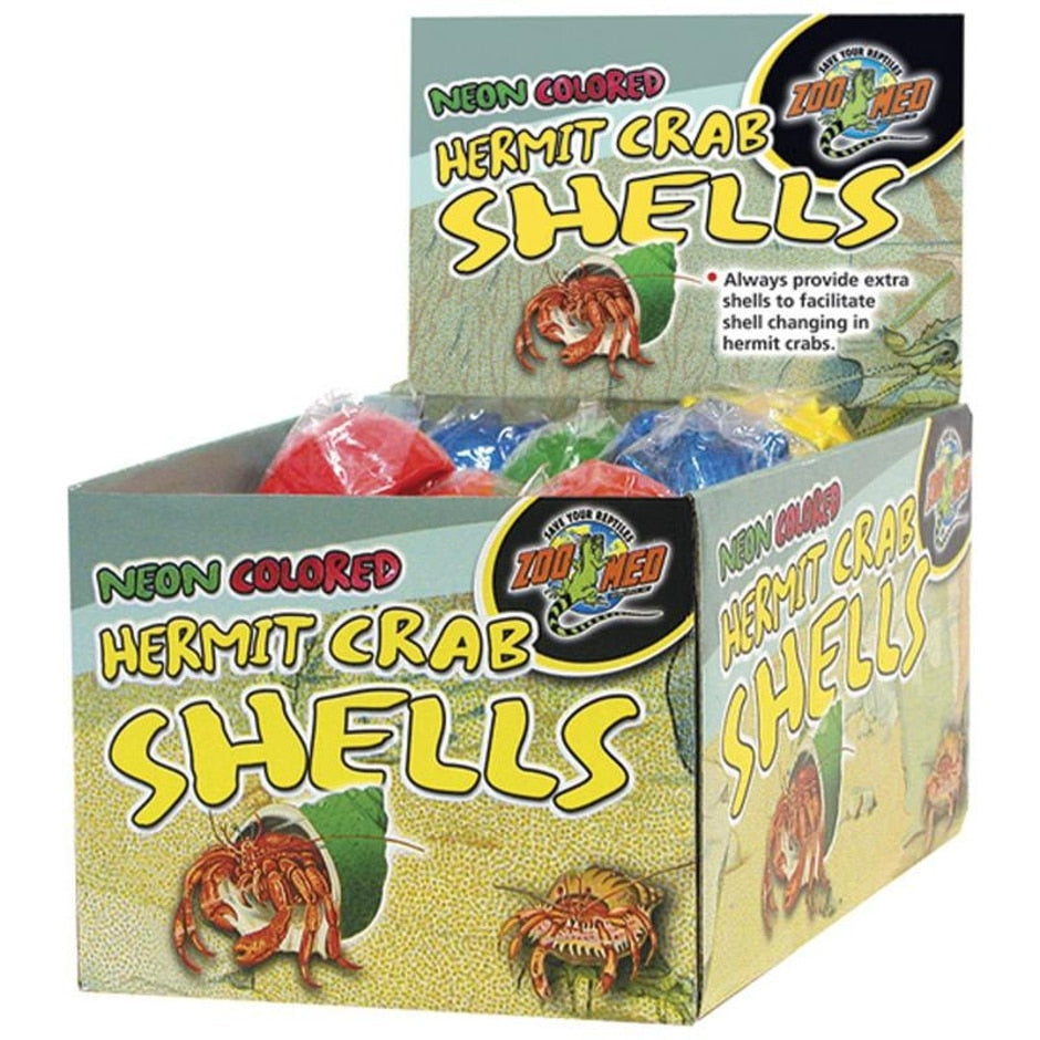 Nj State Shell HERMIT CRAB SHELLS DISPLAY - Audubon, NJ - Garden State Pet Center