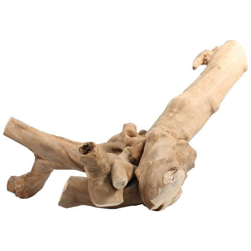 JAVA WOOD REPTILE BRANCH