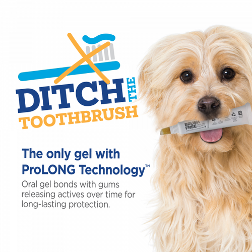 Vetality Brush Free Oral Gel for Dogs