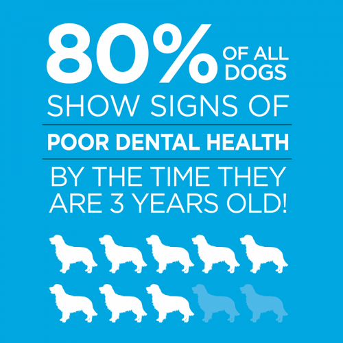 Vetality Brush Free Oral Gel for Dogs