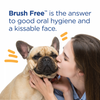Vetality Brush Free Oral Gel for Dogs