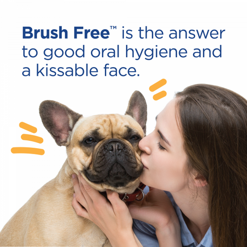 Vetality Brush Free Oral Gel for Dogs