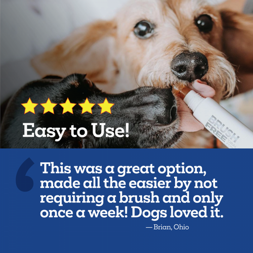 Vetality Brush Free Oral Gel for Dogs