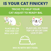 Under the Weather Ready Balance Probiotic Supplement For Cats
