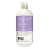 Health Extension ARI Probiotic Sensitive Skin Shampoo