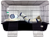 A&E Cage Small Animal Lounge Cage Ferret Kit with Tubes