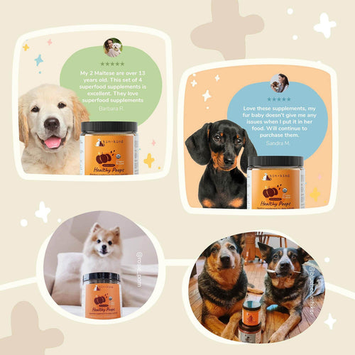 Kin + Kind Organic Healthy Poops Supplement
