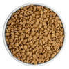 BIXBI Pet Liberty® Dry Food for Dogs – Beef Recipe