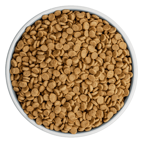 BIXBI Pet Liberty® Dry Food for Dogs – Beef Recipe