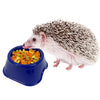 Exotic Nutrition Hedgie Bugs & Veggie Treat