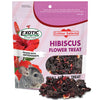 Exotic Nutrition Hibiscus Flower Treat
