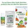 Exotic Nutrition Opossum Complete Opossum Food