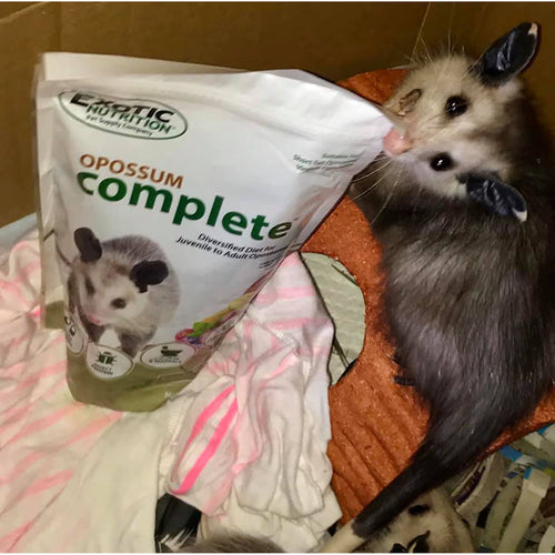 Exotic Nutrition Opossum Complete Opossum Food