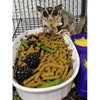 Exotic Nutrition Premium Insectivore Diet Sugar Glider & Hedgehog Food