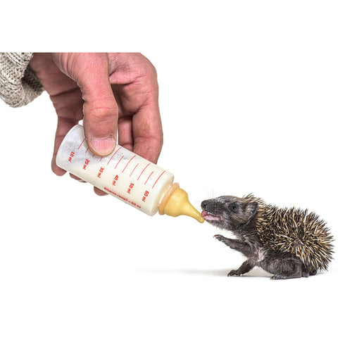 Exotic Nutrition Specialty Milk Replacer