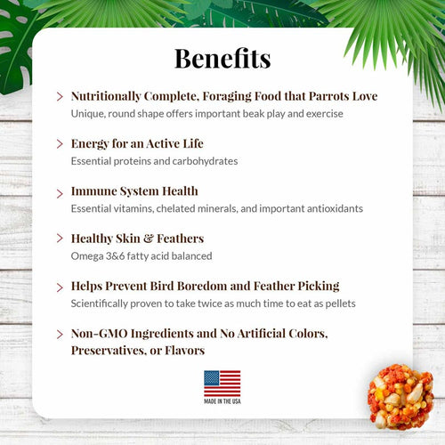 Lafeber Company Tropical Fruit Nutri-Berries for Parrots