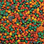 Pretty Bird Species Specific Lory Bird Food