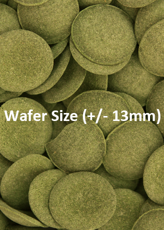 Ocean Nutrition Grazing Wafers Sinking Fish Food