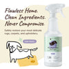 Kin + Kind Pee+Stain+Odor Destroyer (Fabric+Carpet)