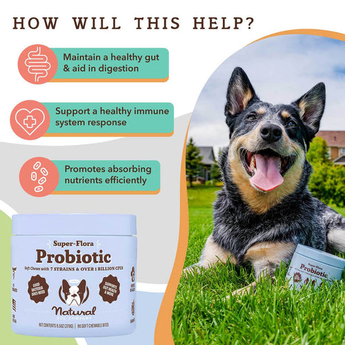 Natural Dog Company Super-Flora Probiotic Supplement