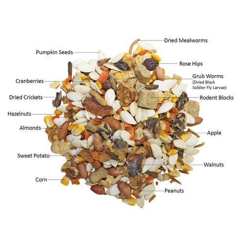 Exotic Nutrition Squirrel Complete Squirrel Food
