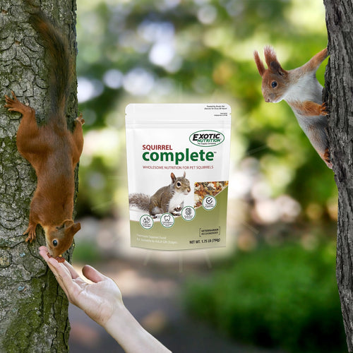 Exotic Nutrition Squirrel Complete Squirrel Food