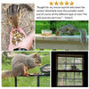 Exotic Nutrition Squirrel Complete Squirrel Food