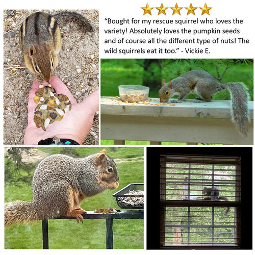 Exotic Nutrition Squirrel Complete Squirrel Food