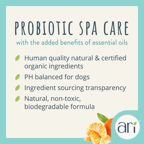 Health Extension ARI Probiotic Deodorizer Spray – Green Tea + Mandarin