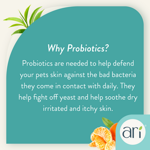 Health Extension ARI Probiotic Deodorizer Spray – Green Tea + Mandarin