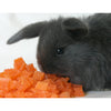 Exotic Nutrition DPapaya Treat