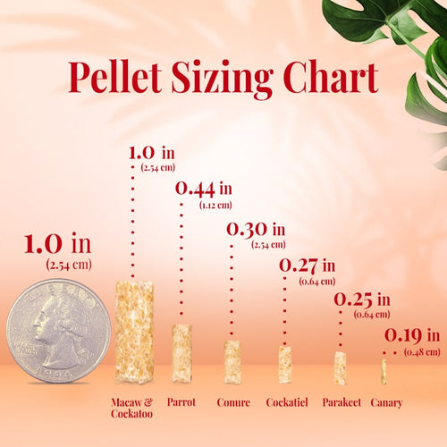 Lafeber Company Cockatiel Tropical Fruit Gourmet Pellets