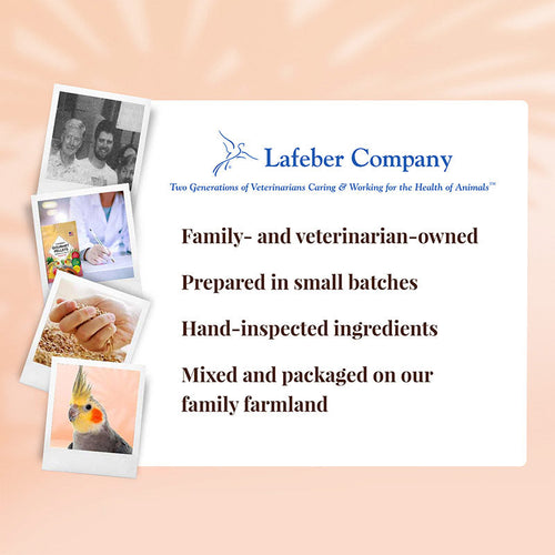Lafeber Company Cockatiel Tropical Fruit Gourmet Pellets