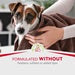 FURminator® Tub-Free deShedding Foam Comb for Dogs