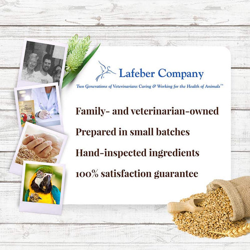 Lafeber Company Macaw & Cockatoo Nutri-Berries