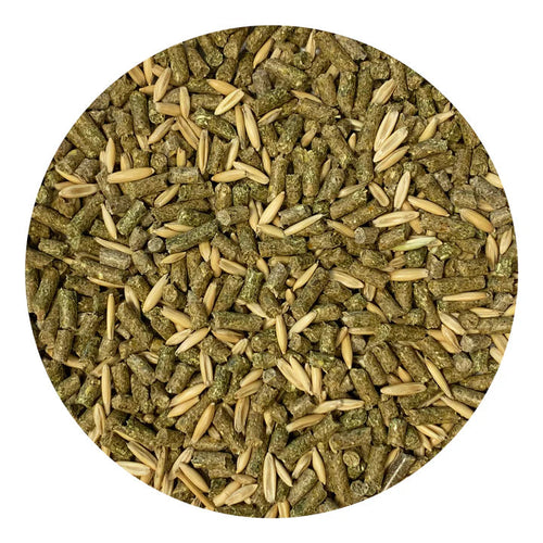 Exotic Nutrition Degu Diet with Whole Oats Degu Food