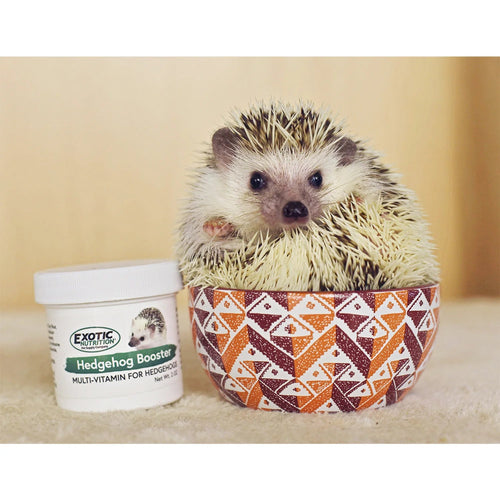 Exotic Nutrition Hedgehog Booster (Multivitamin)