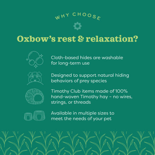 Oxbow Animal Health Enriched Life - Hideaway Dream Castle
