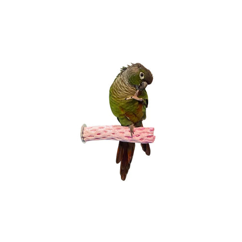 Polly's Pet Products Polly's Tooty Fruity Bee Pollen Perch - Small