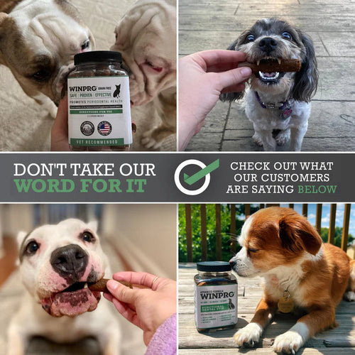 Winpro Functional Dental Stix for Dogs