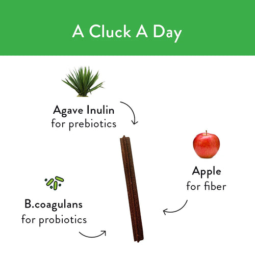 Shameless Pets A Cluck A Day Dental Sticks Dog Treats - Garden State Pet Center