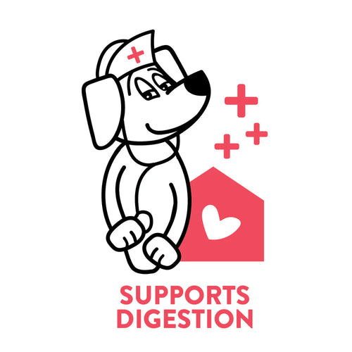 Shameless Pets A Cluck A Day Dental Sticks Dog Treats - Garden State Pet Center