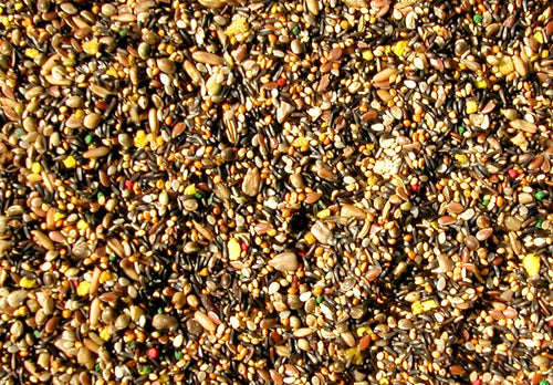 ABBA 1800 Canary & Finch Treat Song Food