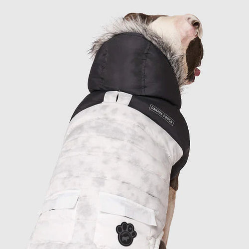 Canada Pouch Eco+ True North Parka Dog Coat