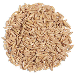Exotic Nutrition Whole Oats