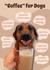 Barkista Pumpkin Spice Latte Instant Dog Coffee